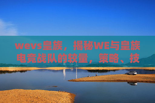wevs皇族，揭秘WE与皇族电竞战队的较量，策略、技术与心理博弈