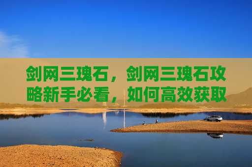 剑网三瑰石，剑网三瑰石攻略新手必看，如何高效获取瑰石？