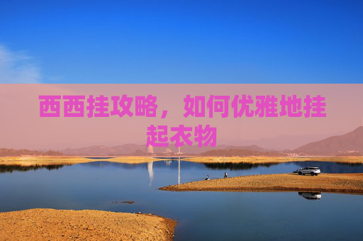 西西挂攻略，如何优雅地挂起衣物