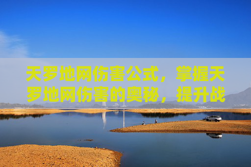 天罗地网伤害公式,掌握天罗地网伤害的奥秘,提升战斗效率的策略 天罗地网伤害公式,掌握天罗地网伤害的奥秘,提升战斗效率的策略