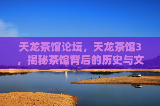 天龙茶馆论坛，天龙茶馆3，揭秘茶馆背后的历史与文化