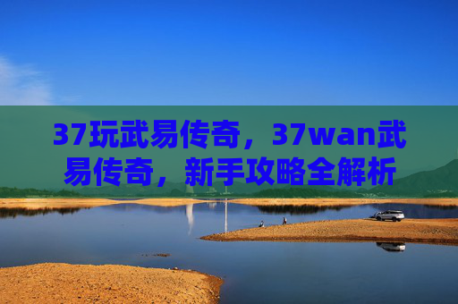 37玩武易传奇，37wan武易传奇，新手攻略全解析