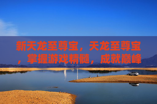 新天龙至尊宝，天龙至尊宝，掌握游戏精髓，成就巅峰之路