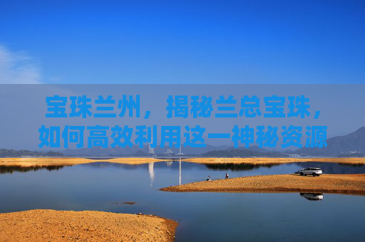 宝珠兰州，揭秘兰总宝珠，如何高效利用这一神秘资源