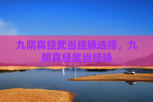 九阴真经武当经脉选择，九阴真经武当经脉