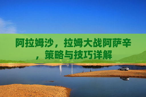 阿拉姆沙，拉姆大战阿萨辛，策略与技巧详解
