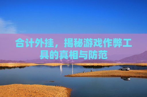 合计外挂，揭秘游戏作弊工具的真相与防范