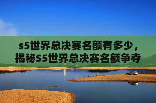 s5世界总决赛名额有多少，揭秘S5世界总决赛名额争夺战，策略与技巧全攻略