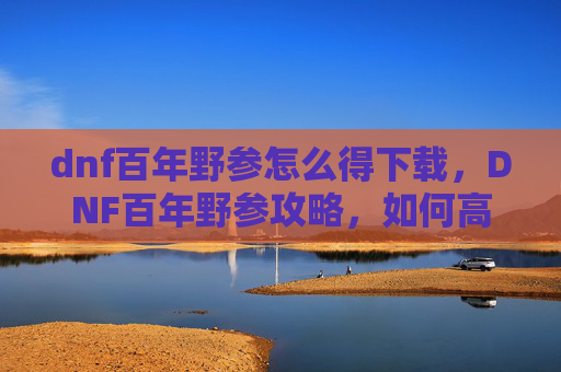 dnf百年野参怎么得下载，DNF百年野参攻略，如何高效获取与利用