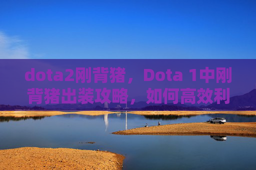 dota2刚背猪，Dota 1中刚背猪出装攻略，如何高效利用这件装备