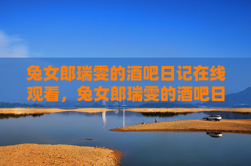 兔女郎瑞雯的酒吧日记在线观看，兔女郎瑞雯的酒吧日记，夜幕下的浪漫与冒险