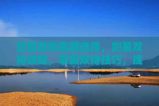 剑星双持武器选择，剑星双持攻略，掌握双持技巧，提升战斗效率