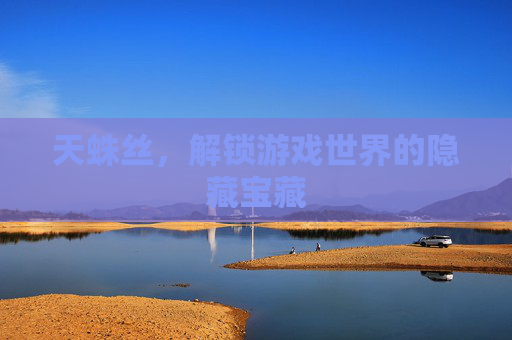 天蛛丝，解锁游戏世界的隐藏宝藏