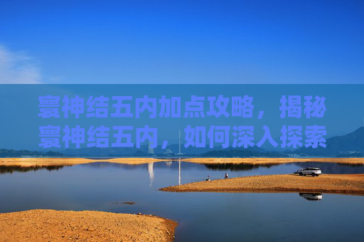 寰神结五内加点攻略，揭秘寰神结五内，如何深入探索与实践五内修炼之道