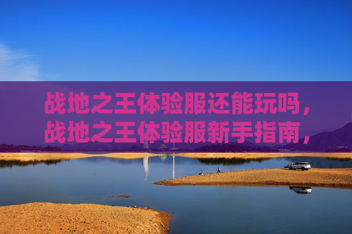 战地之王体验服还能玩吗，战地之王体验服新手指南，掌握游戏技巧，成为战场之王