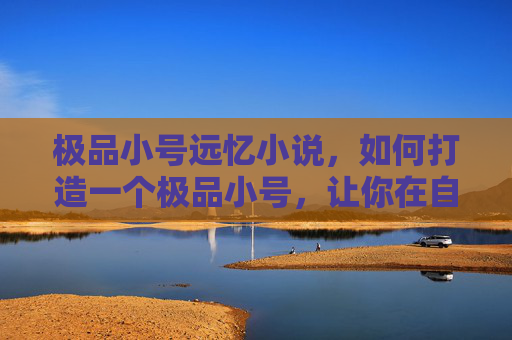 极品小号远忆小说，如何打造一个极品小号，让你在自媒体领域脱颖而出