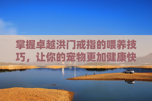 掌握卓越洪门戒指的喂养技巧，让你的宠物更加健康快乐