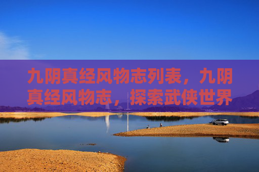 九阴真经风物志列表，九阴真经风物志，探索武侠世界中的神秘宝藏