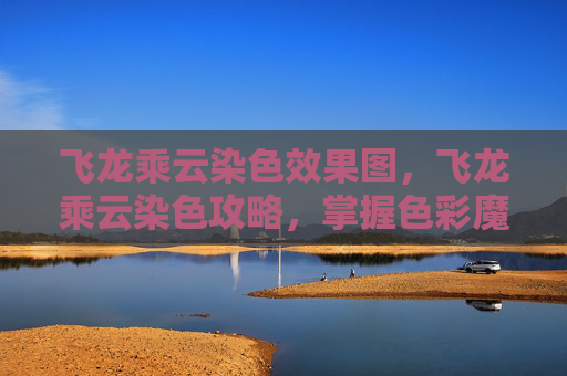 飞龙乘云染色效果图，飞龙乘云染色攻略，掌握色彩魔法，让你的角色焕发新生！