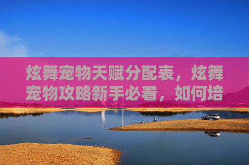 炫舞宠物天赋分配表，炫舞宠物攻略新手必看，如何培养你的炫舞小精灵！