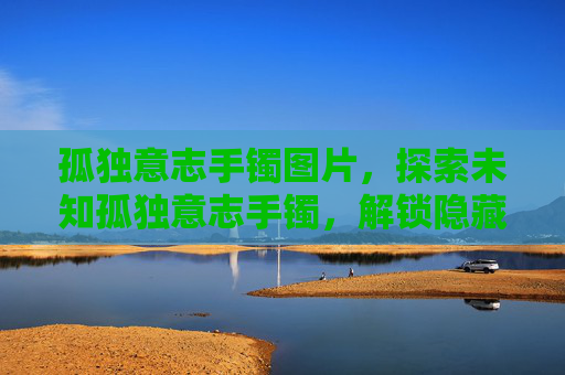 孤独意志手镯图片，探索未知孤独意志手镯，解锁隐藏力量的秘密