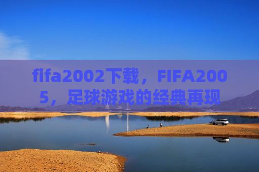 fifa2002下载，FIFA2005，足球游戏的经典再现