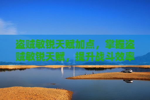 盗贼敏锐天赋加点，掌握盗贼敏锐天赋，提升战斗效率的终极指南