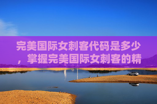 完美国际女刺客代码是多少，掌握完美国际女刺客的精髓，代码与策略全解析