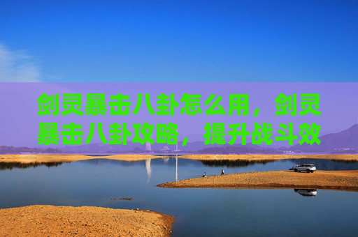剑灵暴击八卦怎么用，剑灵暴击八卦攻略，提升战斗效率的秘诀