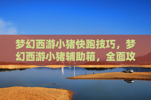 梦幻西游小猪快跑技巧，梦幻西游小猪辅助箱，全面攻略