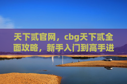 天下贰官网，cbg天下贰全面攻略，新手入门到高手进阶