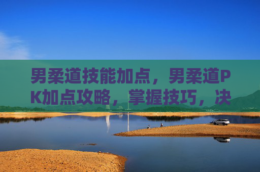 男柔道技能加点，男柔道PK加点攻略，掌握技巧，决胜赛场