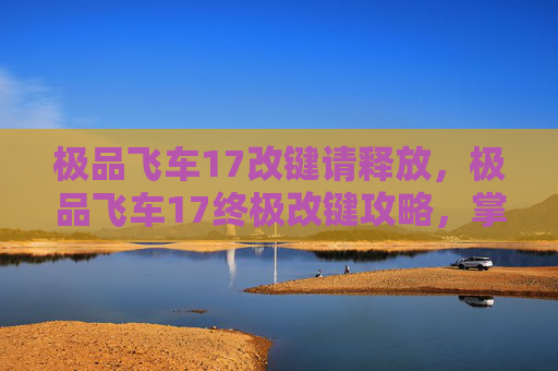 极品飞车17改键请释放，极品飞车17终极改键攻略，掌握游戏节奏，提升驾驶体验