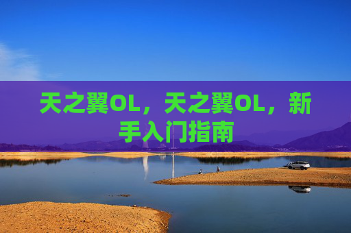 天之翼OL，天之翼OL，新手入门指南