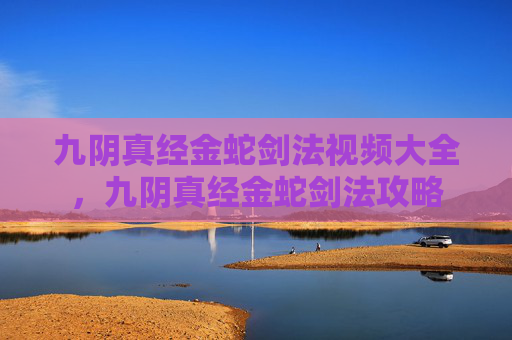 九阴真经金蛇剑法视频大全，九阴真经金蛇剑法攻略
