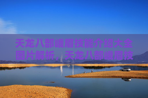 天龙八部峨眉技能介绍大全图片解析，天龙八部峨眉技能深度解析，掌握峨眉的终极奥义