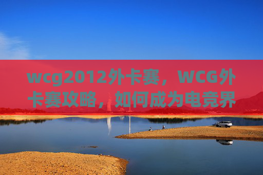 wcg2012外卡赛，WCG外卡赛攻略，如何成为电竞界的黑马？