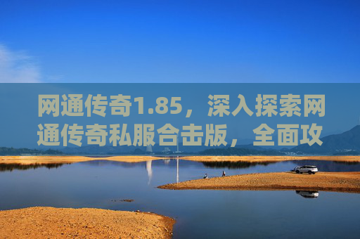 网通传奇1.85，深入探索网通传奇私服合击版，全面攻略指南