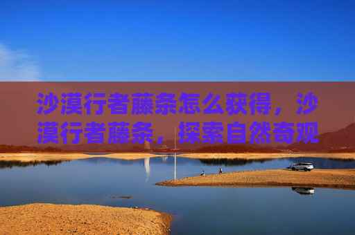 沙漠行者藤条怎么获得，沙漠行者藤条，探索自然奇观与生存技能的完美结合