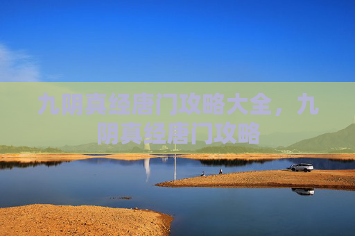九阴真经唐门攻略大全，九阴真经唐门攻略