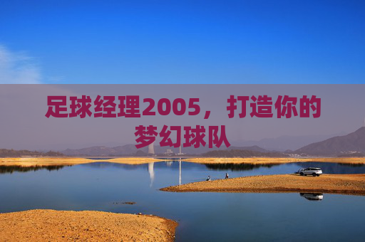 足球经理2005，打造你的梦幻球队