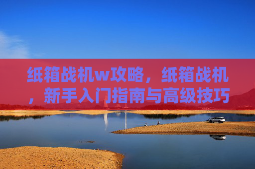 纸箱战机w攻略，纸箱战机，新手入门指南与高级技巧全解析