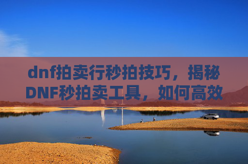 dnf拍卖行秒拍技巧，揭秘DNF秒拍卖工具，如何高效利用游戏内机制实现快速拍卖