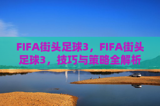 FIFA街头足球3，FIFA街头足球3，技巧与策略全解析