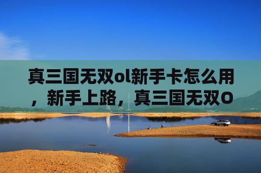 真三国无双ol新手卡怎么用，新手上路，真三国无双OL的秘籍——如何快速上手并享受游戏