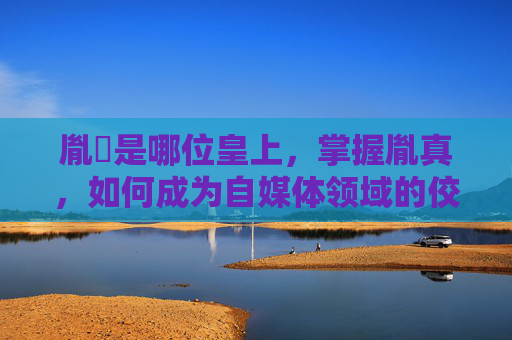 胤禛是哪位皇上，掌握胤真，如何成为自媒体领域的佼佼者