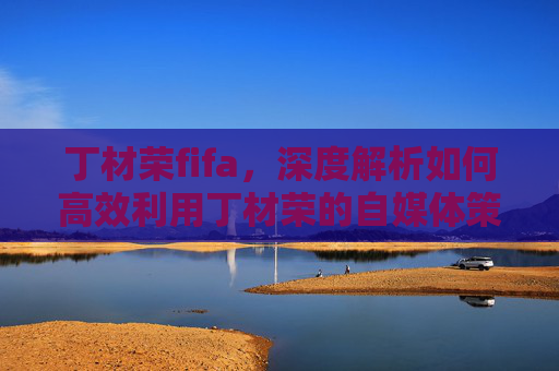 丁材荣fifa，深度解析如何高效利用丁材荣的自媒体策略，打造个人品牌影响力