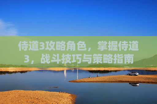 侍道3攻略角色，掌握侍道3，战斗技巧与策略指南