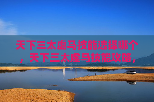 天下三太虚马技能选择哪个，天下三太虚马技能攻略，提升战斗效率的秘诀
