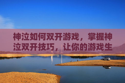 神泣如何双开游戏，掌握神泣双开技巧，让你的游戏生涯更上一层楼